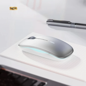 Northcity Kablosuz Şarjlı RGB Sessiz Fare 2.4G 1600 DPI