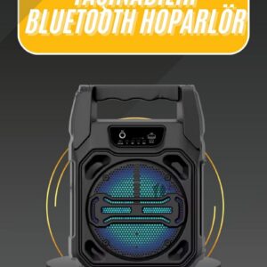 Northcity Karaoke Mikrofonlu Bluetooth Hoparlör - FM Radyo, USB/TF, 6.5'' HD Ses