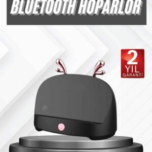 Northcity Kablosuz Bluetooth Hoparlör Telefon Koyma Özelliği - Yüksek Ses, Uzun Pil Ömrü ve Kablosuz Özgürlük