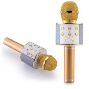 Northcity Karaoke Mikrofon Dahili Hoparlörlü Sd-usb-aux Girişli Bluetooth Hoparlör