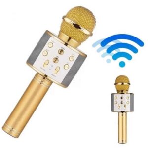 Northcity Bluetooth Hoparlör USB AUX SD Kart Kaoroke Mikrofon Uzun Pil Ömrü